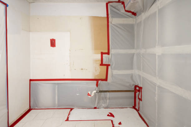 Best Asbestos and Lead Testing During Mold Inspection  in Holdenville, OK